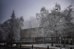 Frost at Hull College