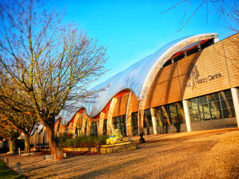 View article Hull History Centre to archive memories from families in self-isolation