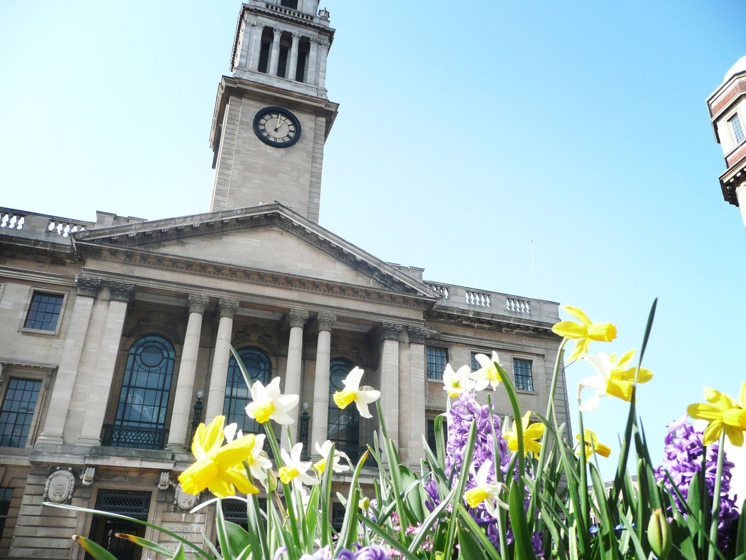 A shot of the Guildhall in Hull. The building is in the background and spring flowers are in the foreground