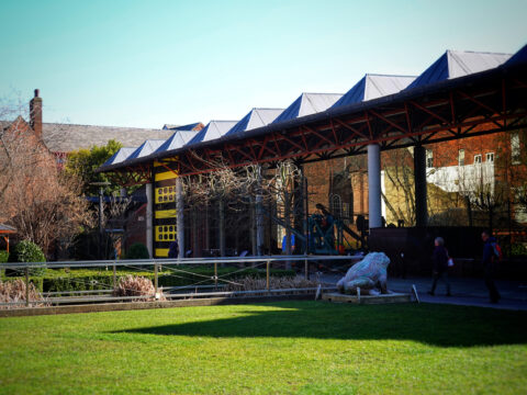 View article Summer visitors to Hull museums and art gallery at highest level since 2017