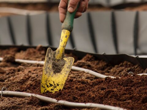 View article New nominations sought for the Hull Local Heritage list