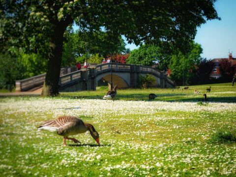 View article How lockdown will affect Hull leisure facilities, parks and playgrounds