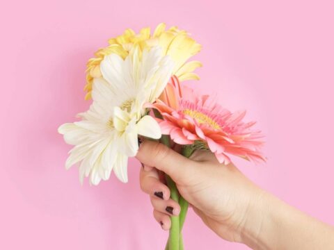 View article 7 top Mother’s Day gift ideas with a Hull theme