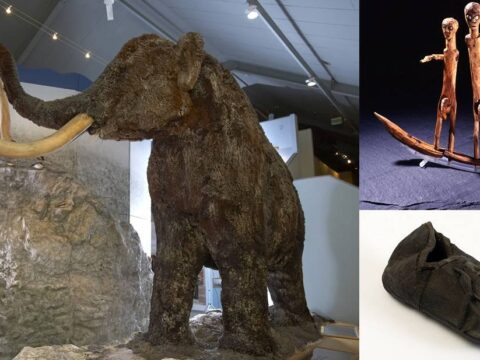 View article Top 10 archaeological gems in Hull