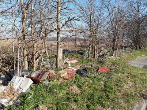 View article Five tonnes of dumped waste cleaned up in Bransholme