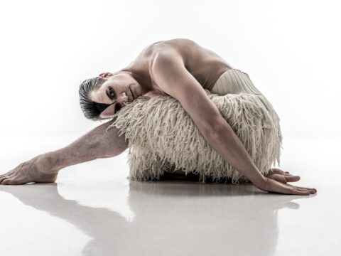 View article Hull-born Liam Mower to star in Swan Lake at city theatre