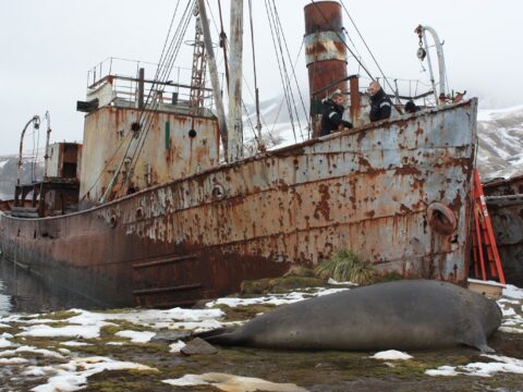 View article Efforts to return historic trawler Viola to Hull stepped up