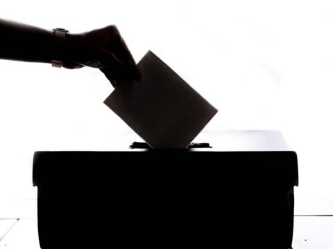 View article Local elections: Find out who is standing in your ward