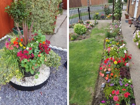 View article Search on for best garden among Hull tenants