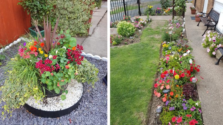 This year’s Hull City Council Tenants’ Garden Competition will be the biggest yet.