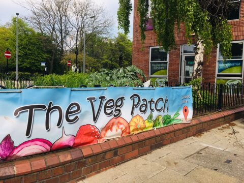 View article Video: Hull’s urban vegetable patch in heart of city centre