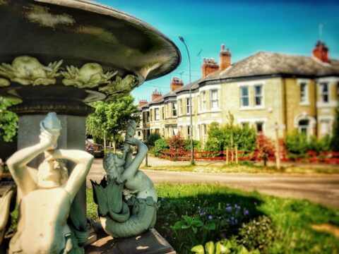 View article Hull named as one of England’s greenest areas