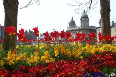 A view to Maritime Museum through some tulips
