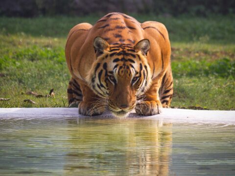 View article 5 things to do in Hull this weekend