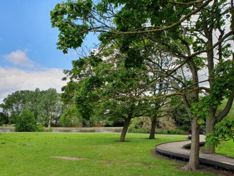 View article Hull parks: 5 things you might not know