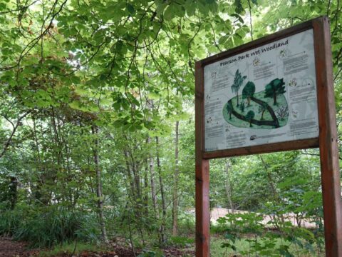 View article Pearson Park targeted by thieves and vandals