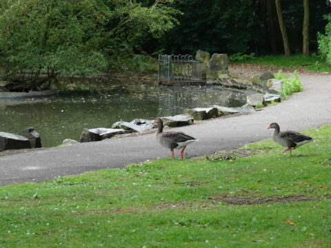 View article Coronavirus: Update on Hull leisure site closures and cancellations