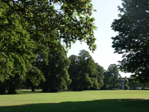 View article £3.8m Pearson Park restoration to restart as workers follow social distancing