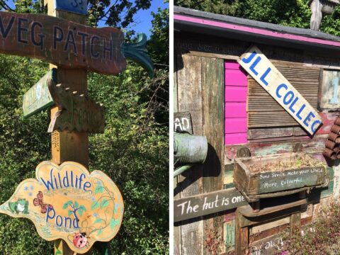 View article Why this garden is going wild in Princes Avenue