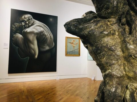 View article Ferens new exhibition opens this weekend