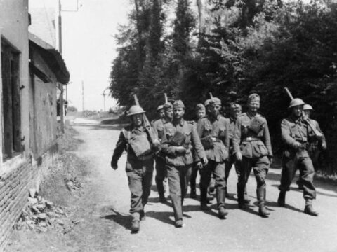 View article 101-year-old Hull veteran in medal appeal for British Expeditionary Force