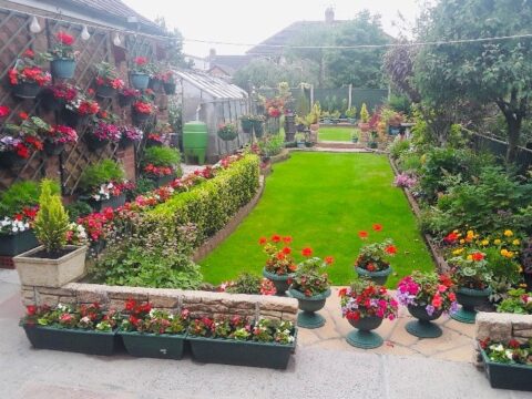 View article Here is Hull’s best garden