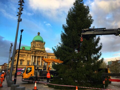 View article How the perfect Christmas tree was chosen for Hull city centre
