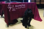 Hearing dog Beck supports deaf people to live independently