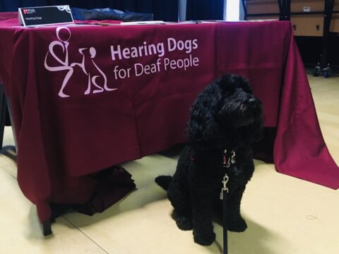 View article How tech is supporting Hull children with additional needs