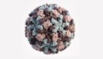 A 3D graphical representation of a single Norovirus virion