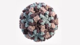 A 3D graphical representation of a single Norovirus virion