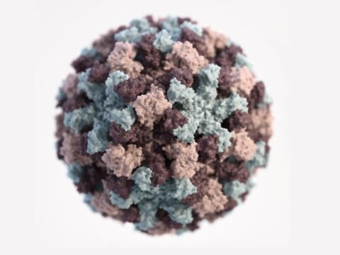 View article Stay away from your GP if you have this common winter virus