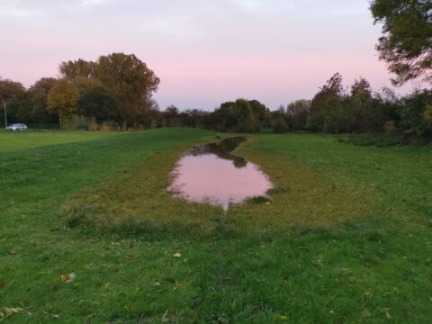 View article Plans submitted for a new ‘aquagreen’ to reduce flooding in east Hull