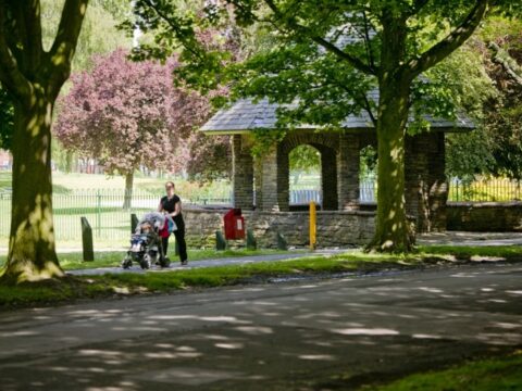 View article Work begins to clear site at Pickering Park