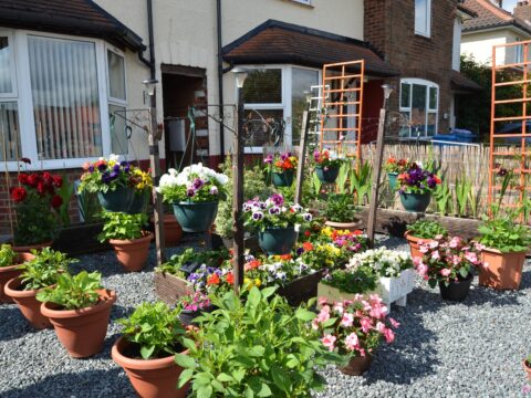 View article Entries open for the 2024 Hull City Council Tenants Gardening Competition
