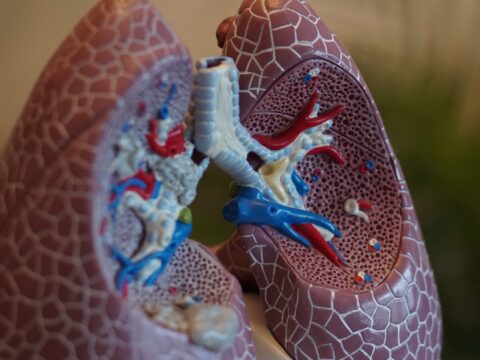 View article Hull smokers urged: quit for Coronavirus