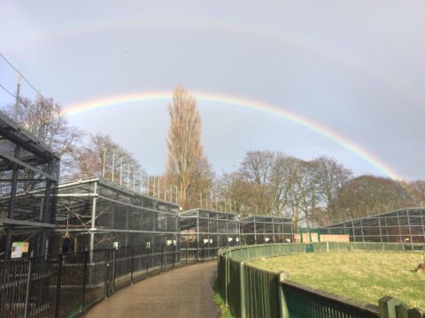 View article Magic of moths examined during Healthy Holidays