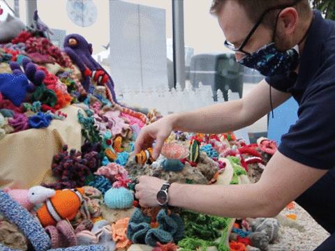 View article Amazing woolly exhibition welcoming visitors to The Deep this half-term