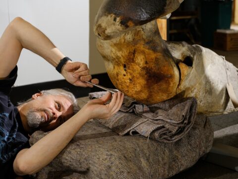 View article Historic whale skeleton attracts national attention