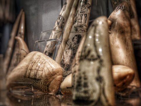 View article Search for company to move thousands of priceless maritime objects gets underway