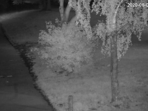 View article Fly-tippers warned as thousands of pounds in fines handed out in Hull