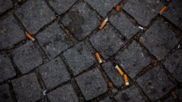 Discarded cigarette butts. Picture: Jasmin Sessler