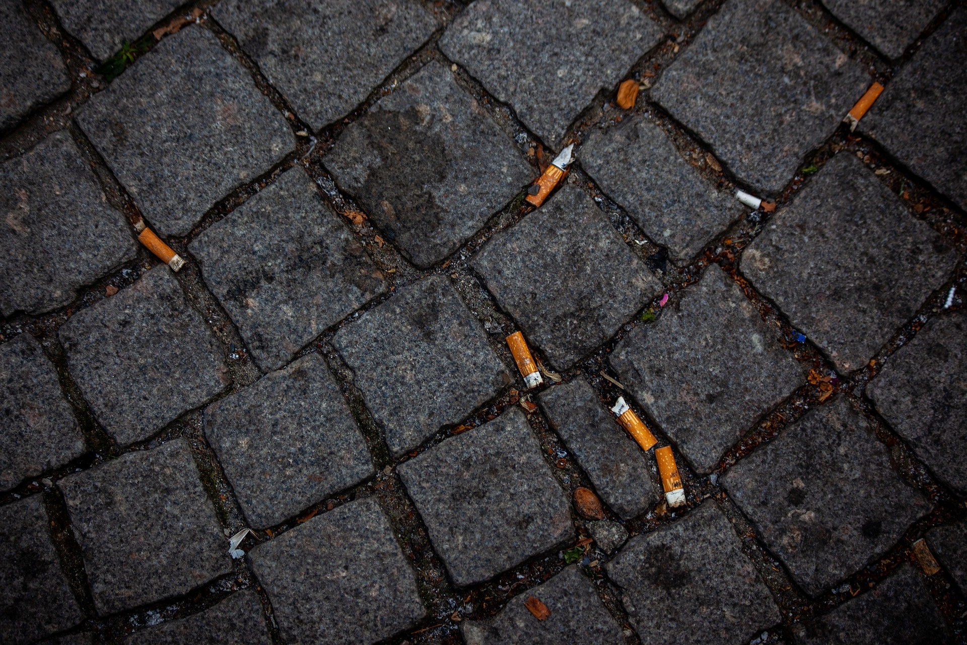 Discarded cigarette butts. Picture: Jasmin Sessler