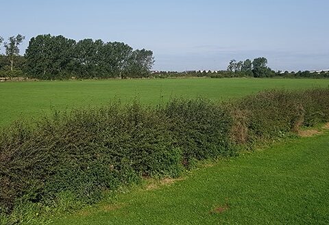 View article Bude playing fields development gets council backing