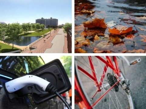 View article 5 things Hull City Council is doing to tackle climate change