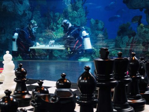 View article Find out why divers at the Deep have been playing chess