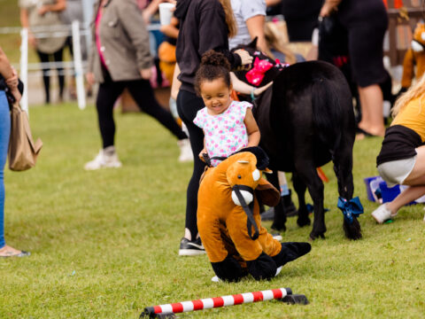 View article Thousands of families enjoy Healthy Holidays Hull events