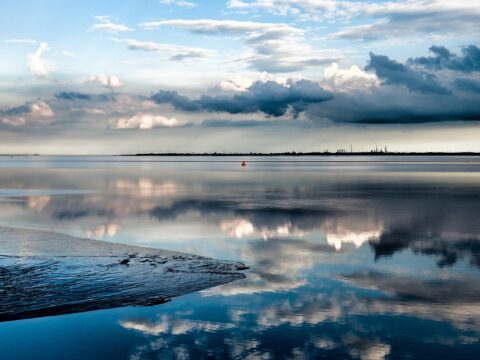 View article Playing the Regeneration Game at The Waterline Summit 2021