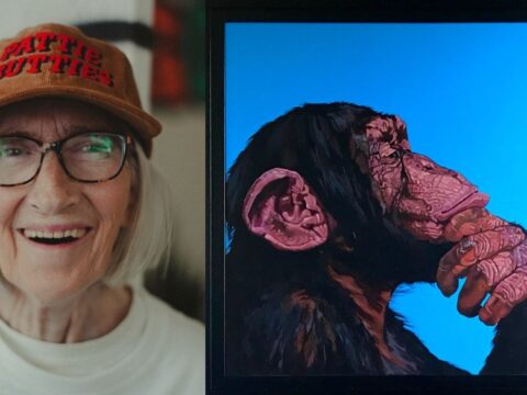 View article Ferens Open Exhibition set to celebrate ‘incredible’ talent