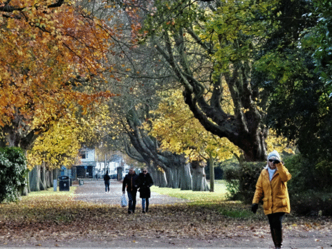 View article Decision record: Contractor appointed for East Park parking and footpath improvement works